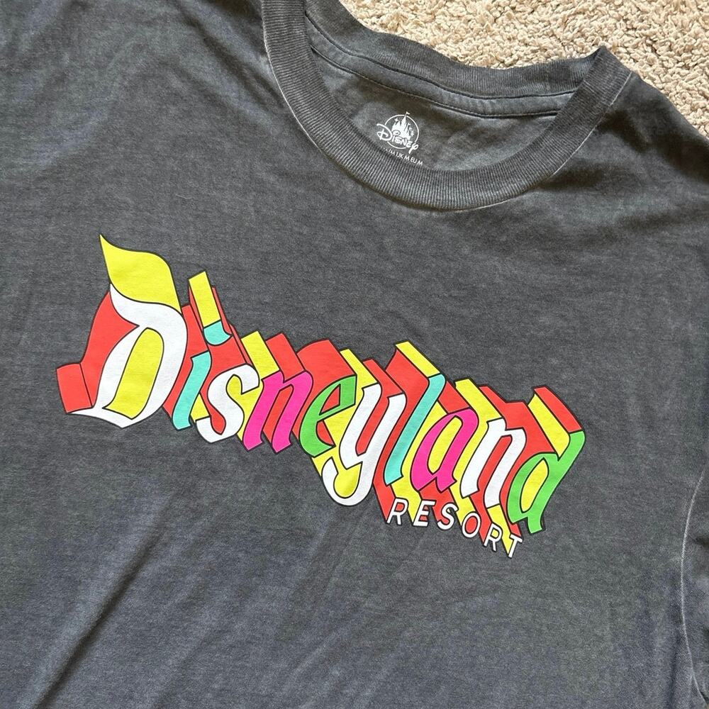 Disneyland Disney Resort Neon Colorblock Acid Wash tee, Medium